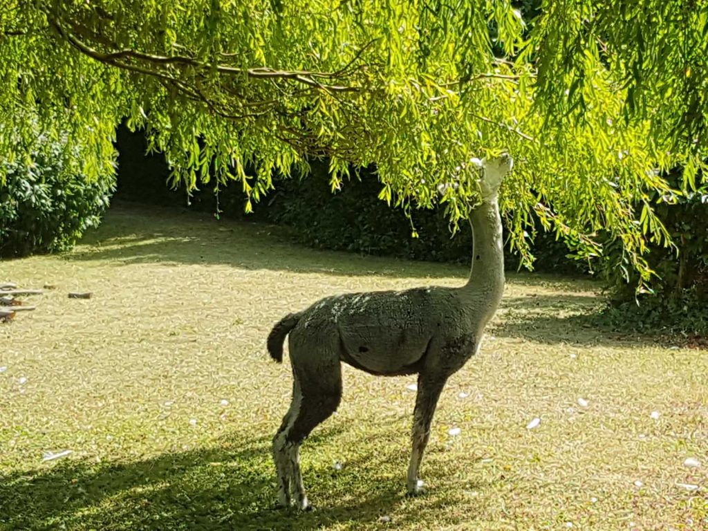20180715_150633_small