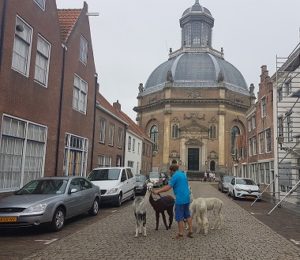20180729_174654 2