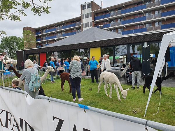 alpacas-hof-mondriaan