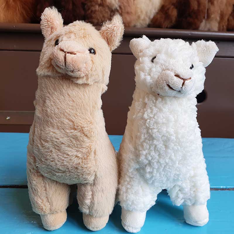alpaca-spaarkaart-04