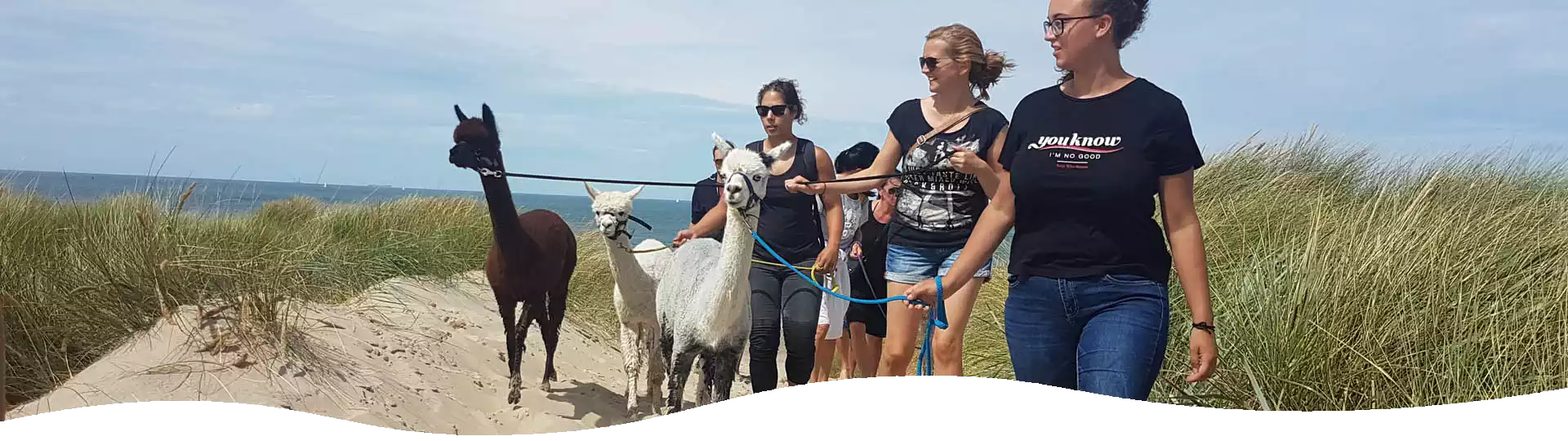 strandwandeling strandwandeling