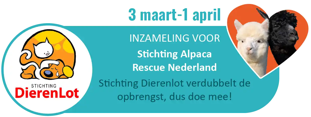 webafbeelding – inzameling paasuitdaging v2-08