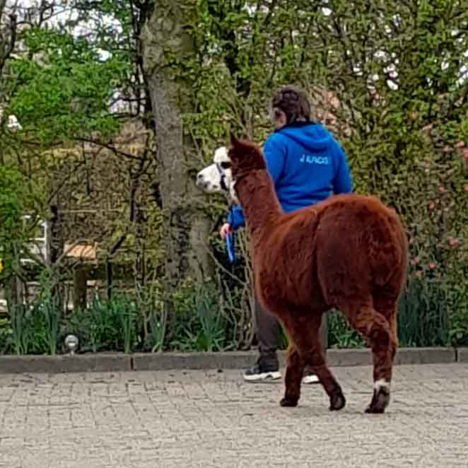 Jona volgt, maart 2024