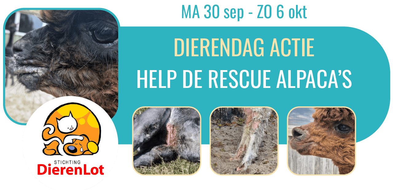 actiepagina zeelandia – dierendag actie afbeelding-min