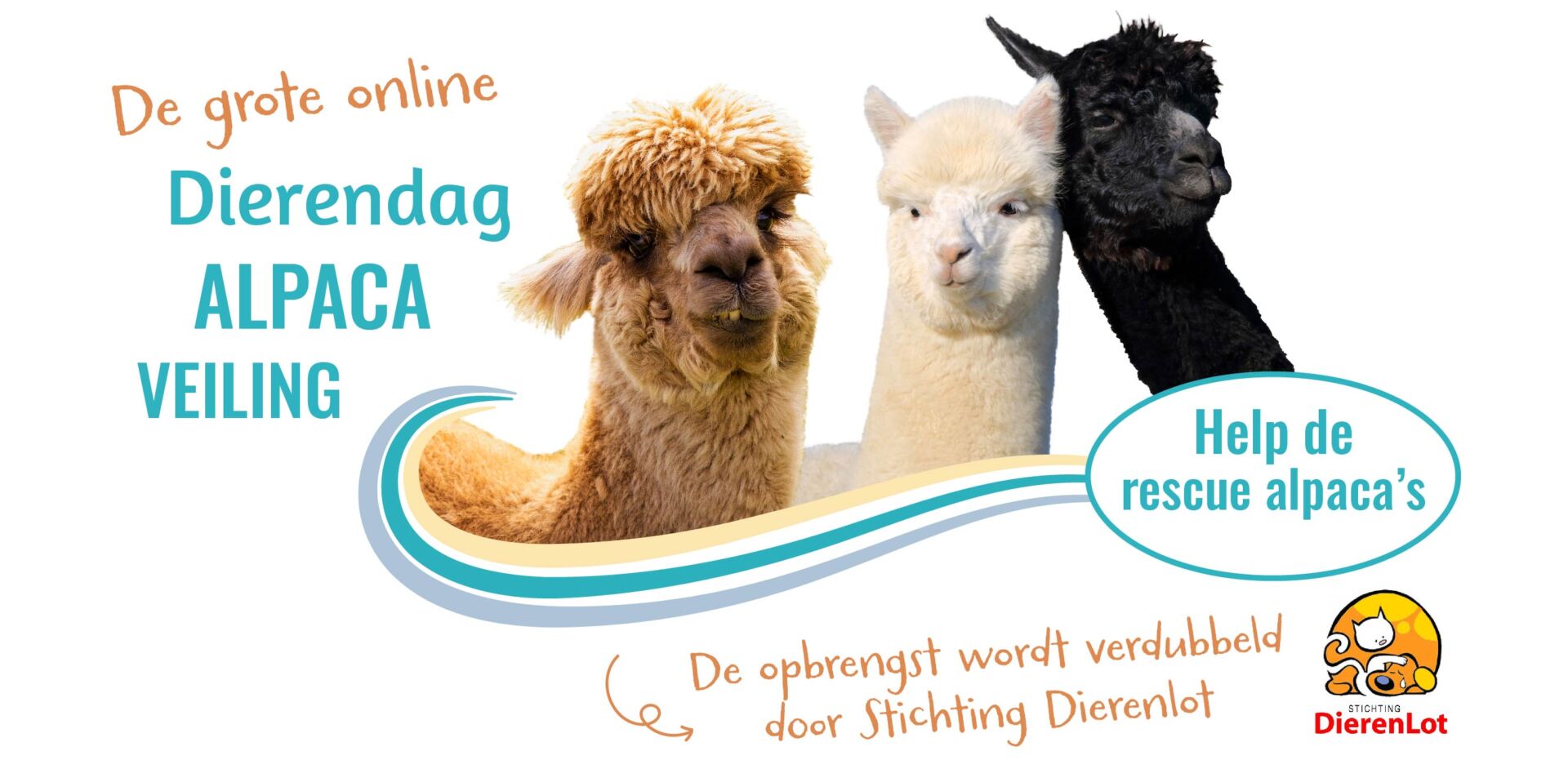banner – dierendag veiling 2024