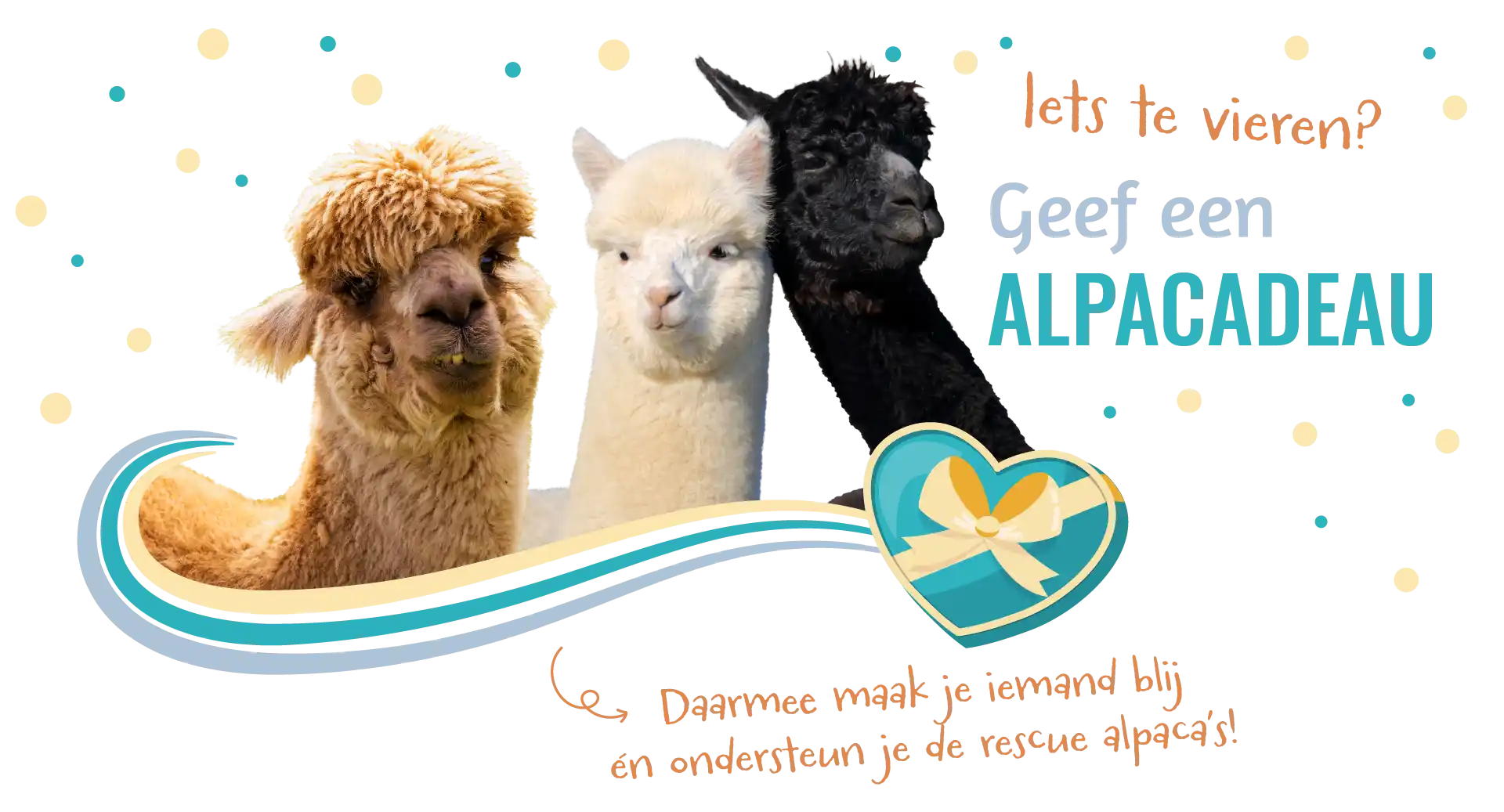 BANNER DESKTOP webp – kadobon pagina