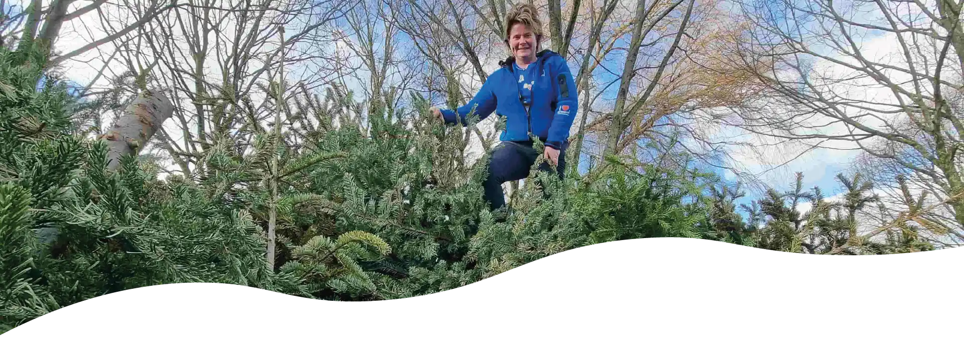 web header – doneer jouw kerstboom – mara op kerstbomen