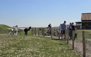het alpaca belevingspad