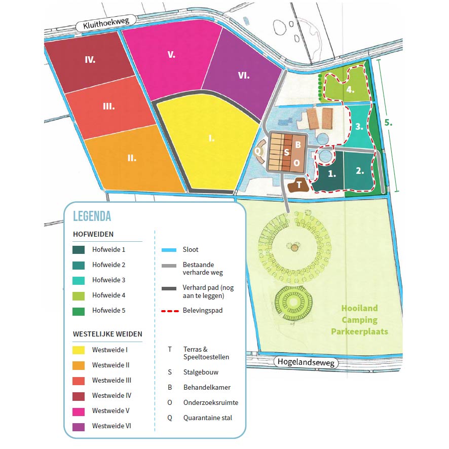 weides nieuwe locatie 32 – jpeg