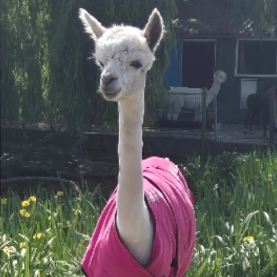 Zoë mit rosa Jacke, Mai 2025