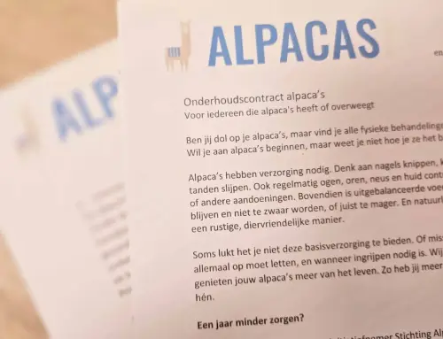 Achter de schermen 17: Service