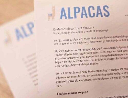 Achter de schermen 17: Service