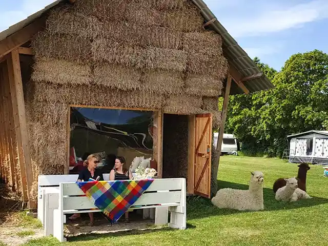 de heejstek