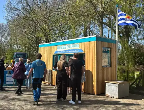 Hitzestress bei Alpakas