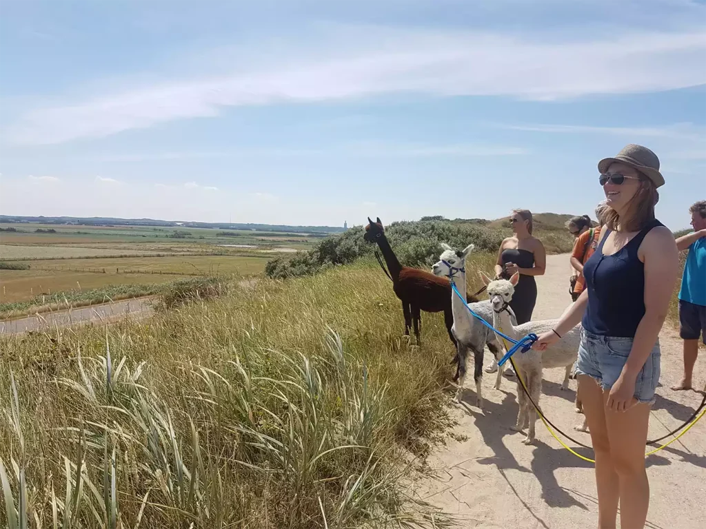 strandwandeling high tea