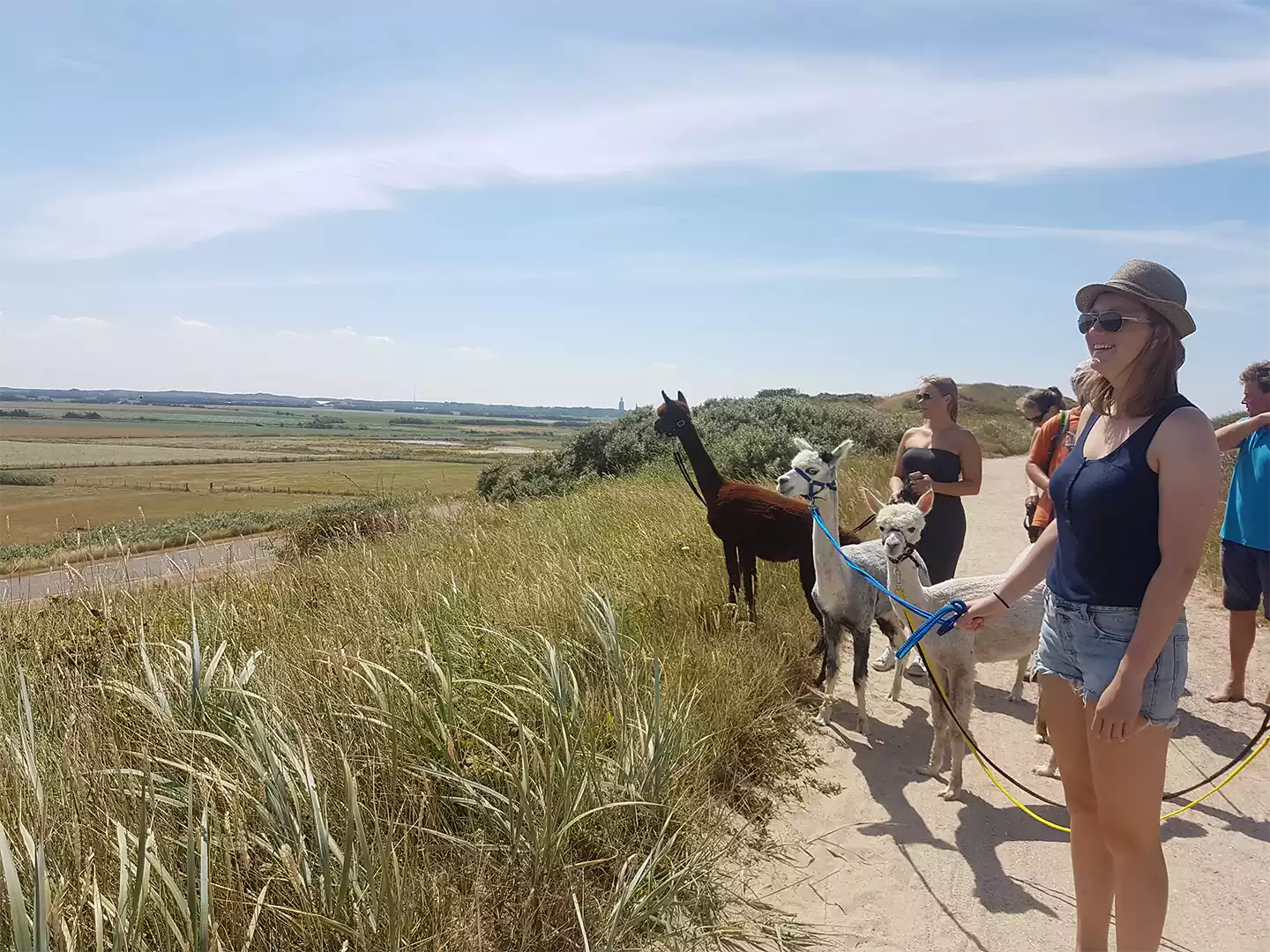 Alpaka Strandspaziergangs